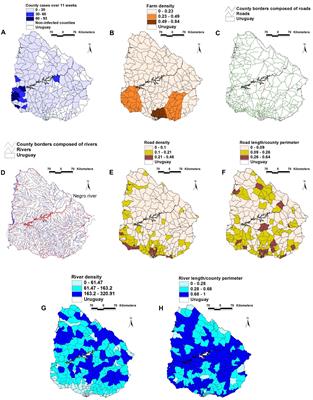 Assessing complexity and dynamics in epidemics: geographical barriers and facilitators of foot-and-mouth disease dissemination